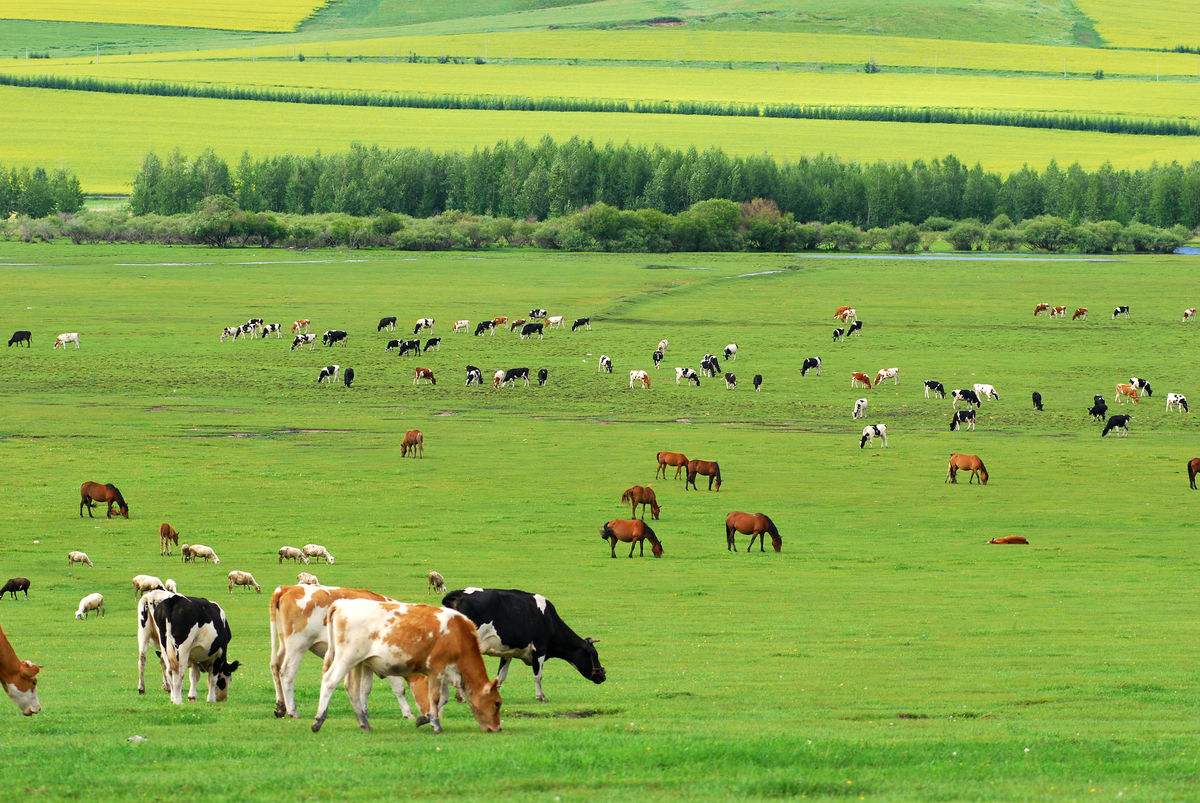 20181029111813231323