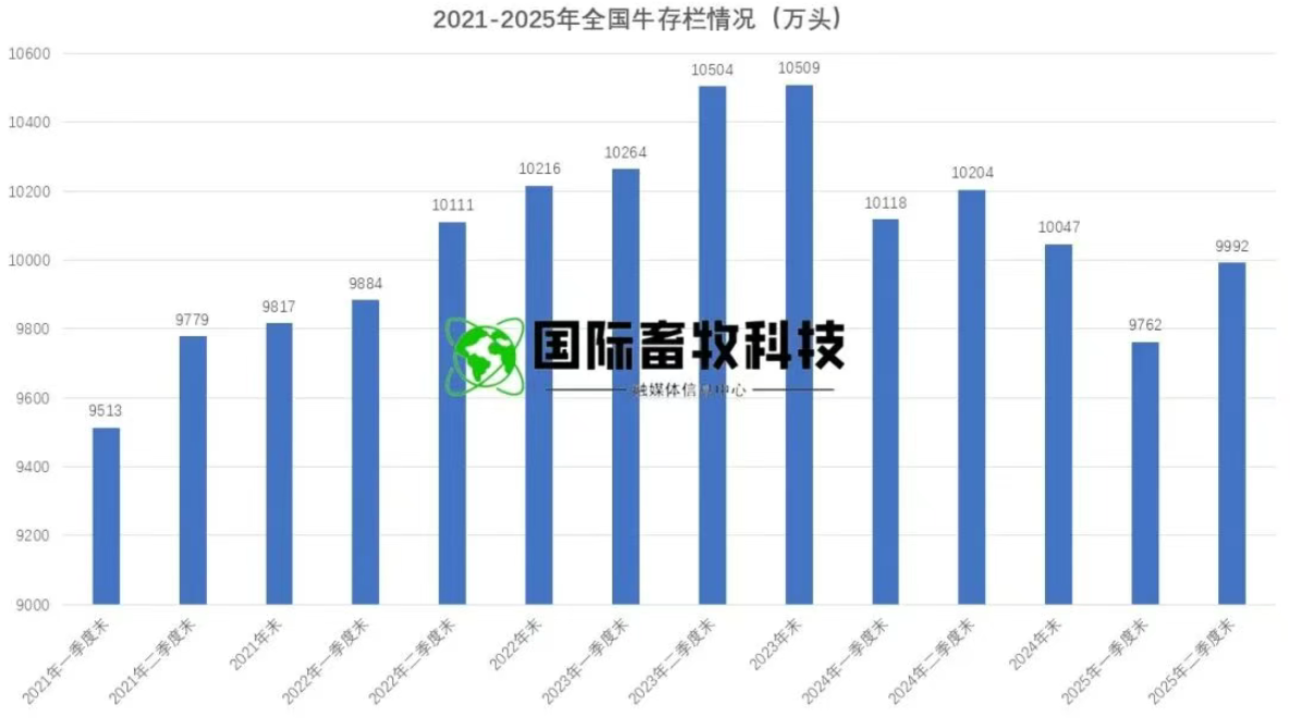 20250901165387878787