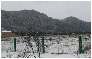 ��ҳ-NG��Ѷ�����˹ٷ���վ