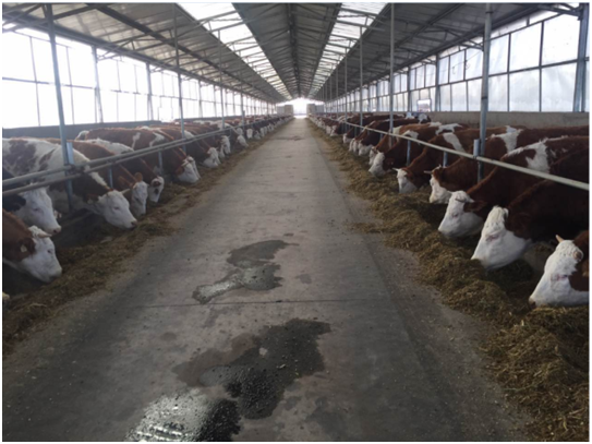 ��ҳ-NG��Ѷ�����˹ٷ���վ