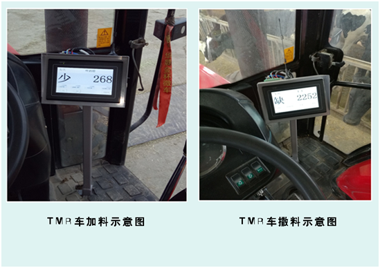 ��ҳ-NG��Ѷ�����˹ٷ���վ