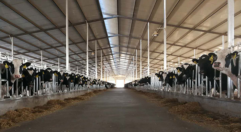 ��ҳ-NG��Ѷ�����˹ٷ���վ