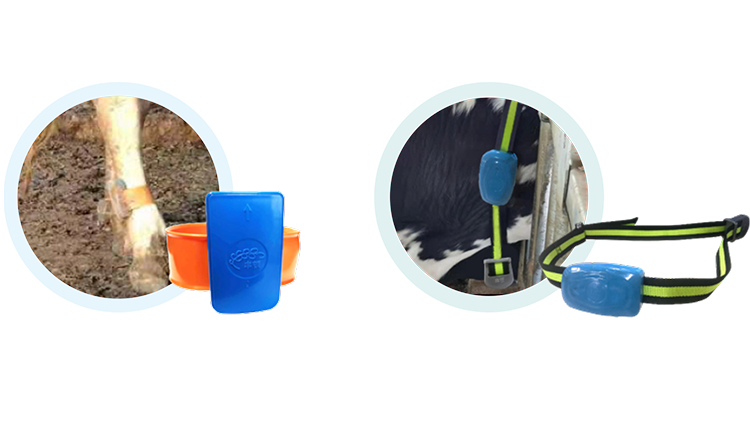 ��ҳ-NG��Ѷ�����˹ٷ���վ