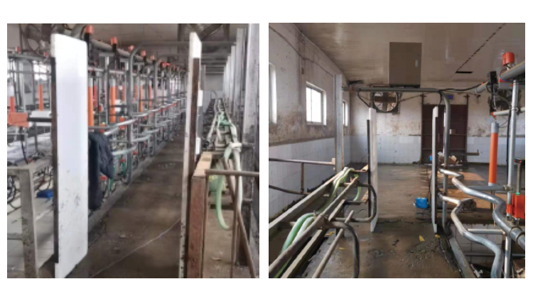 ��ҳ-NG��Ѷ�����˹ٷ���վ