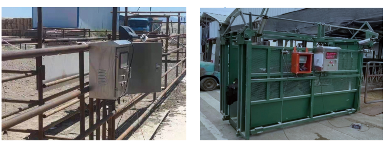 ��ҳ-NG��Ѷ�����˹ٷ���վ