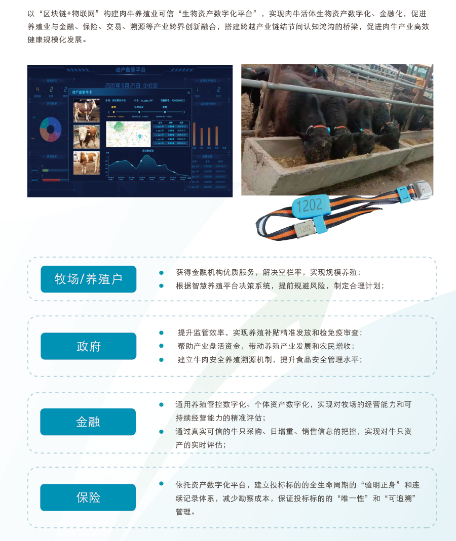 ��ҳ-NG��Ѷ�����˹ٷ���վ