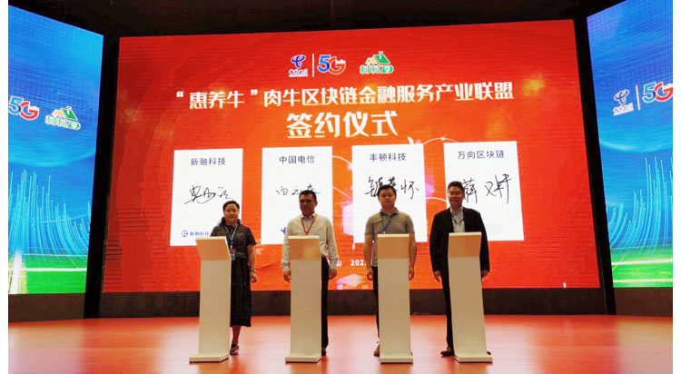 ��ҳ-NG��Ѷ�����˹ٷ���վ