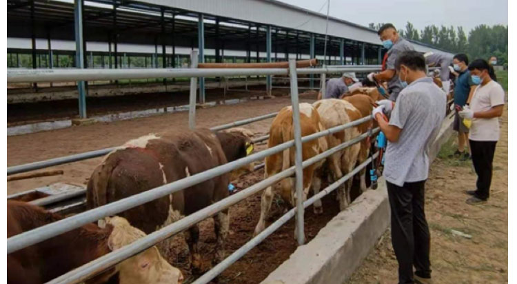 ��ҳ-NG��Ѷ�����˹ٷ���վ