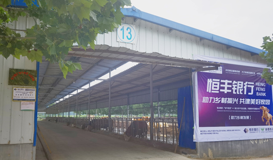 ��ҳ-NG��Ѷ�����˹ٷ���վ