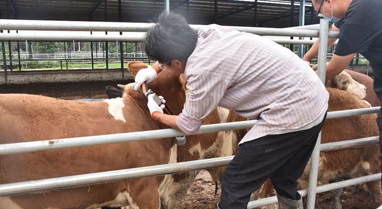 ��ҳ-NG��Ѷ�����˹ٷ���վ