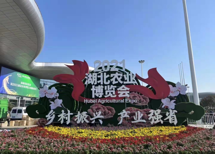 ��ҳ-NG��Ѷ�����˹ٷ���վ