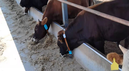 ��ҳ-NG��Ѷ�����˹ٷ���վ