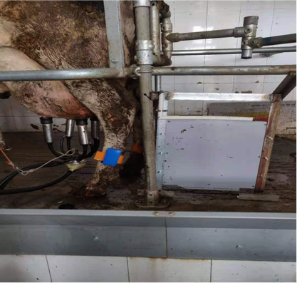 ��ҳ-NG��Ѷ�����˹ٷ���վ