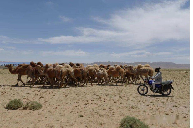 ��ҳ-NG��Ѷ�����˹ٷ���վ