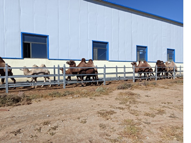 ��ҳ-NG��Ѷ�����˹ٷ���վ