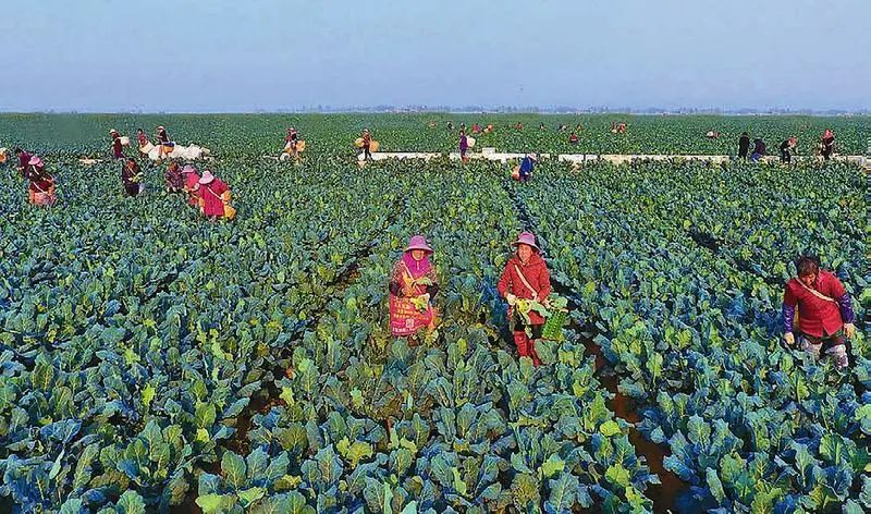 ��ҳ-NG��Ѷ�����˹ٷ���վ