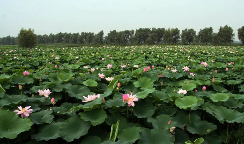 ��ҳ-NG��Ѷ�����˹ٷ���վ