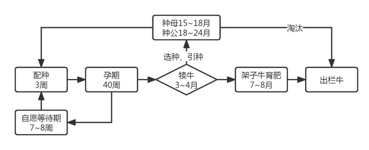 ��ҳ-NG��Ѷ�����˹ٷ���վ