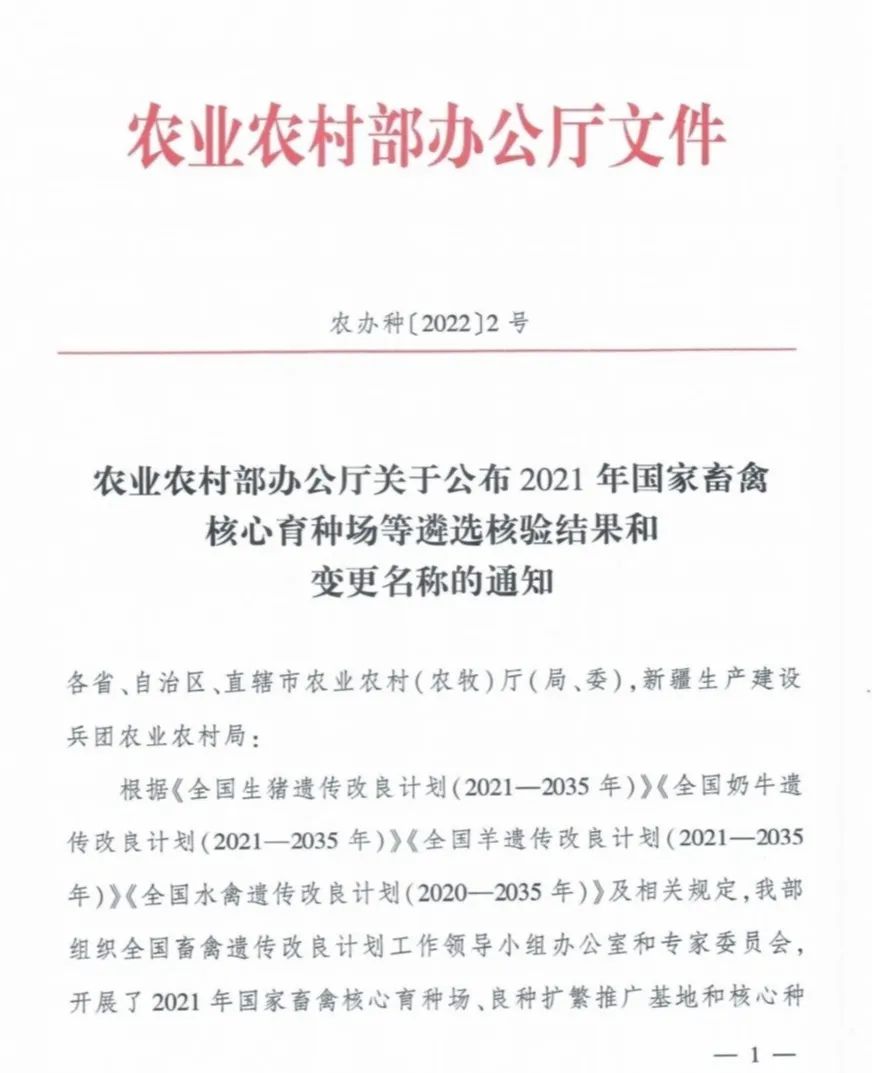 ��ҳ-NG��Ѷ�����˹ٷ���վ