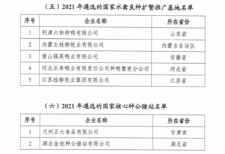 ��ҳ-NG��Ѷ�����˹ٷ���վ