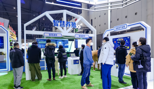 ��ҳ-NG��Ѷ�����˹ٷ���վ