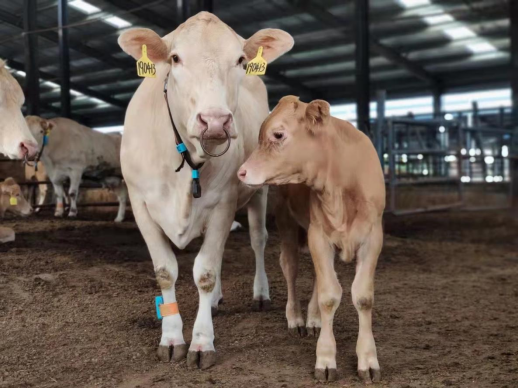 ��ҳ-NG��Ѷ�����˹ٷ���վ