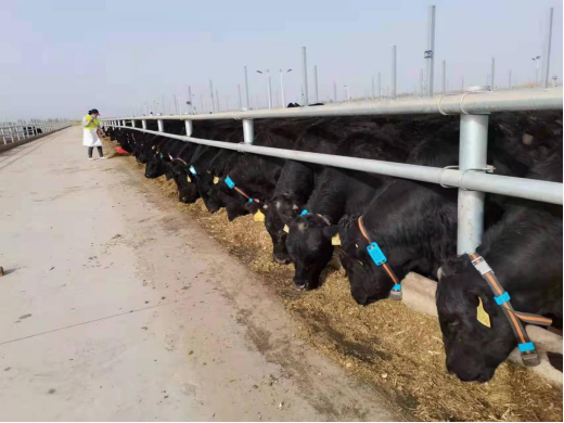 ��ҳ-NG��Ѷ�����˹ٷ���վ