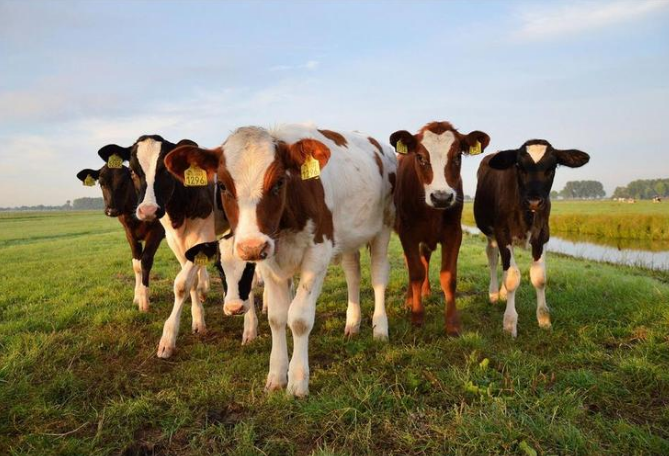 ��ҳ-NG��Ѷ�����˹ٷ���վ