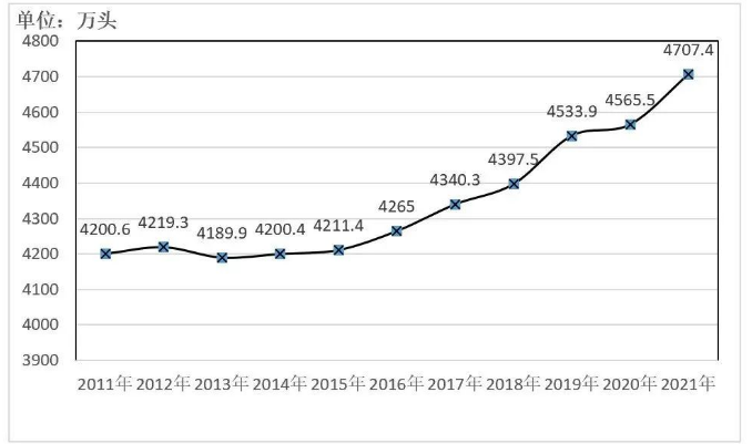 ��ҳ-NG��Ѷ�����˹ٷ���վ