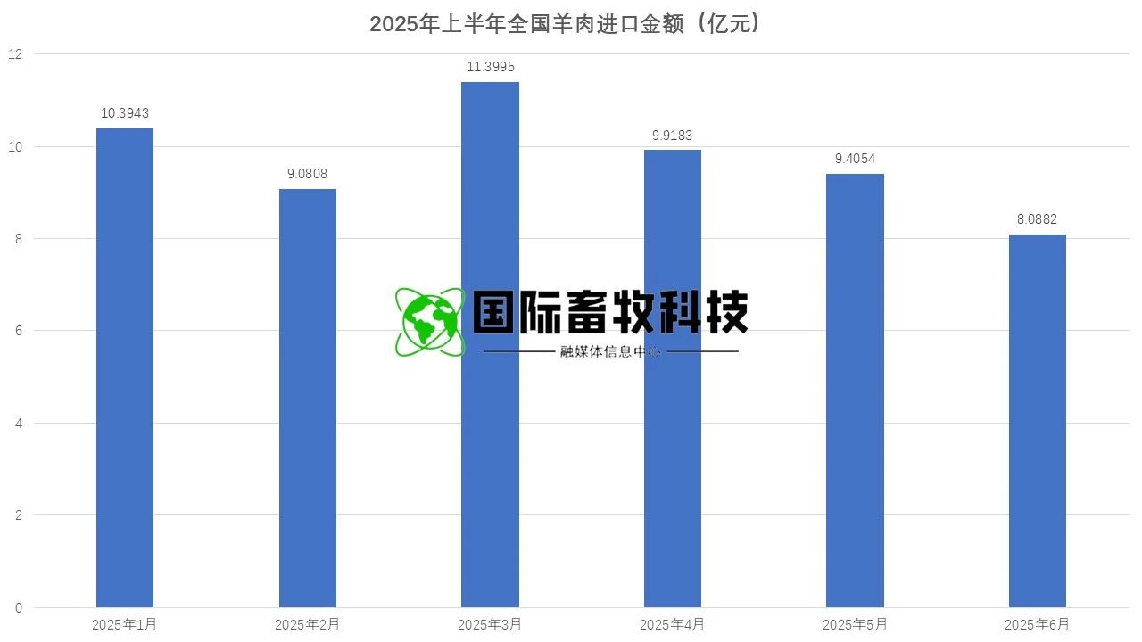 ��ҳ-NG��Ѷ�����˹ٷ���վ