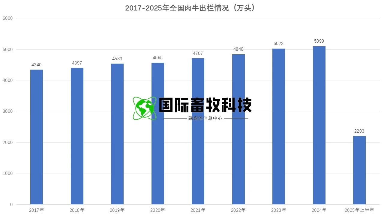 ��ҳ-NG��Ѷ�����˹ٷ���վ